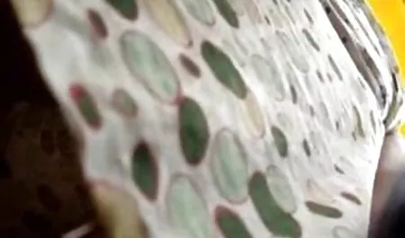 دختر خوشمزه سوار بر یک ﻿امريكاهي كس كون كير عكس سكسي خروس سیاه