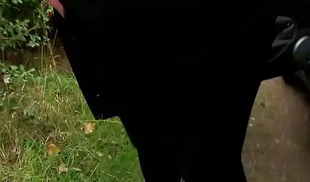 آن مرد آنگی مون کیر تو کس انجمن را در تمام سوراخ ها لعنتی